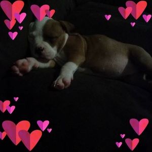 Meet your Posher, Kara